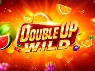 Wild Double Up screenshot